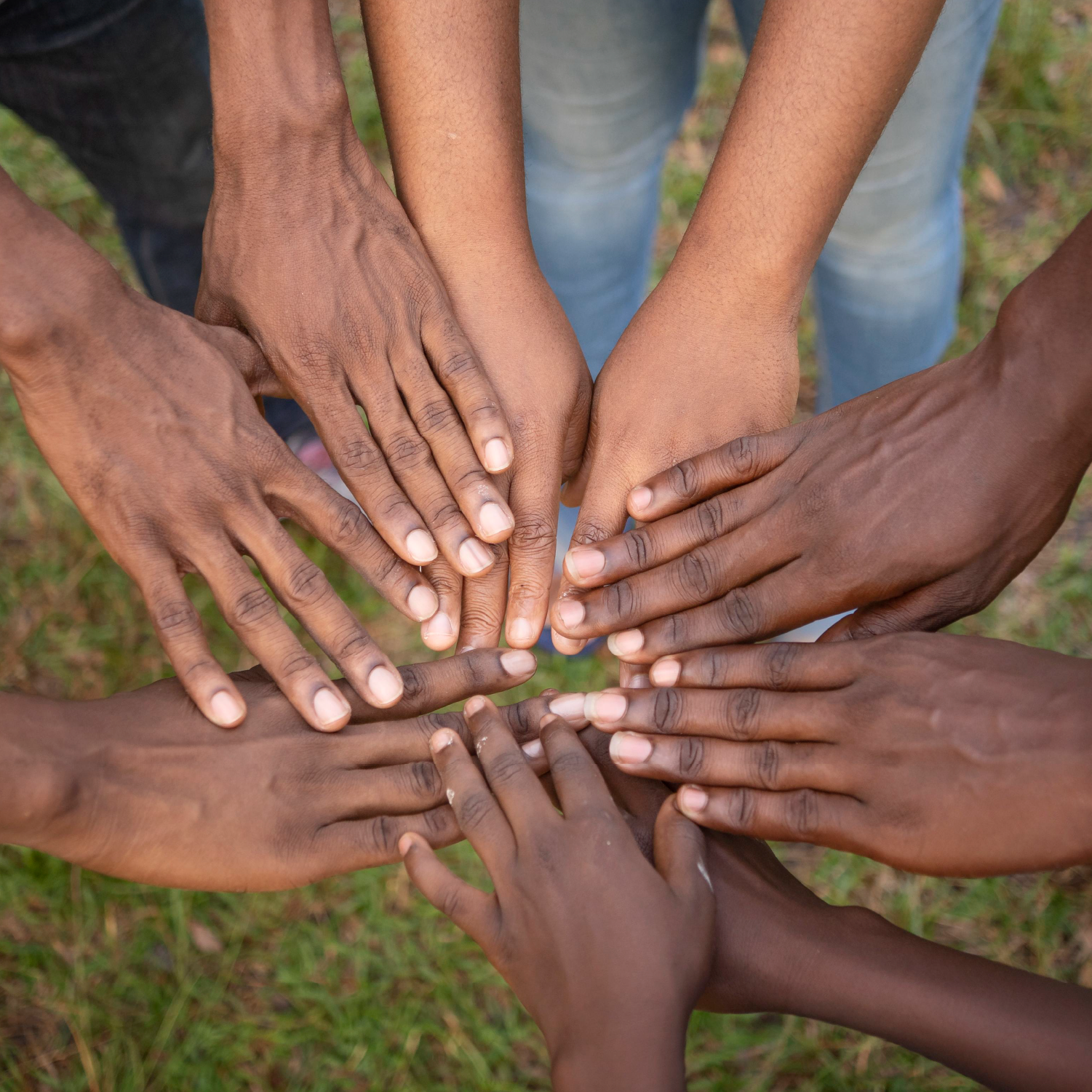 Conseils juridiques